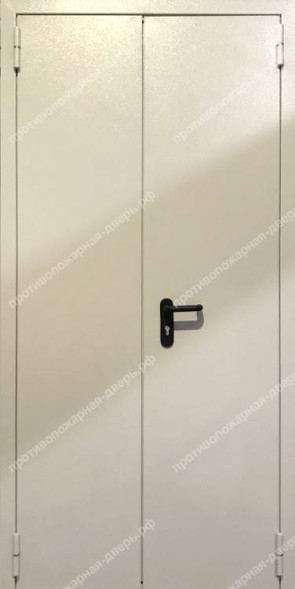 Двупольная глухая дверь EI 60 RAL 7035 нестандартная (есть сертификат) (07)